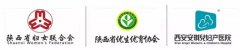 携手省妇联、省优生优育协会，安琪儿启动“早安·早孕”公益项目